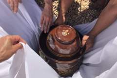 5A405210-2963-4E05-84D9-D7F40DD8D5A5