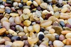 5BBBC1A5-09D7-4EDB-9357-2E665EE4E8C6