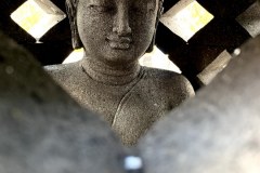 90583FFD-B600-46C0-9902-268C5FB8D060