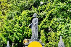 A77AB1E3-696A-4E8E-90A8-DFEA91C469EC