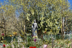 A9AA7EAE-87F8-4FB2-A52E-701962C00F20