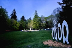 B35DA0B6-48F0-4E10-A565-63CFA6CDF9BC_1_201_a