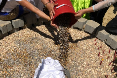 BC3B7A94-D9D1-4FE2-BB74-3BDC216E164E