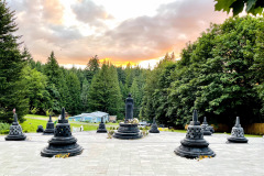 BE78E1CE-1D31-4411-9A8A-C6C1BEAB021D