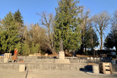 C97D3F5E-AEE9-45DC-9765-591A0A027A17_1_201_a