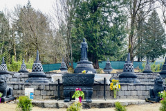 EE4534F0-9A1F-47AC-AEA2-D79DC449478B